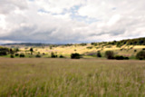 Rhön Countryside