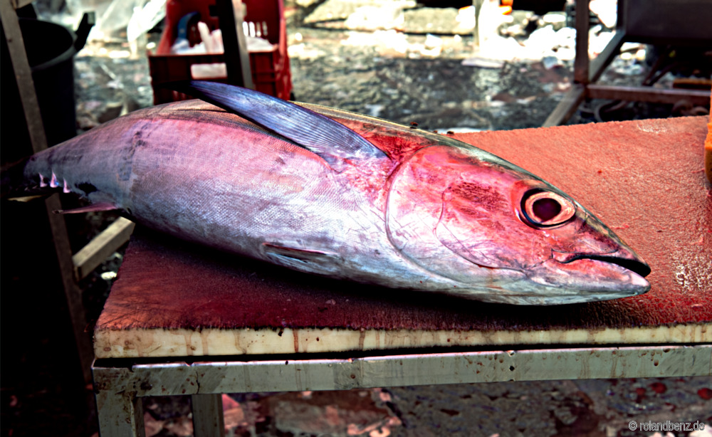 Fish Market