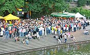 Large Picture (100kB)