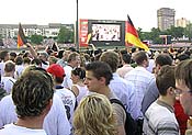 Large Picture (300kB)
