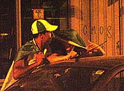 Large Picture (135kB)