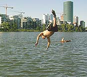 Large Picture (135kB)