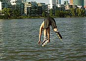 Large Picture (100kB)