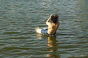 Large Picture (135kB)