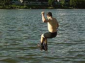Large Picture (135kB)